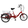 Triciclo de carga de compras en caliente Trike 20 &quot;/ 24&quot; (FP-TR030)